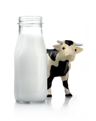 A tej védő tápanyagtartalma